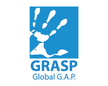 gapgrasp_logo